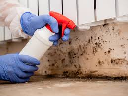 Best Mold Documentation for Insurance Claims  in Morse, LA